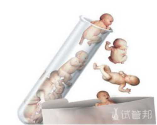 武汉助孕机构价格表 2022武汉包男孩的试管医院排名新鲜出炉 ‘32周双顶径看男