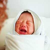 美国试管婴儿专家：受精卵分裂情况与囊胚质量的关系