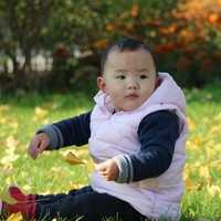 郑州三代试管婴儿技术如何解决生育难题？